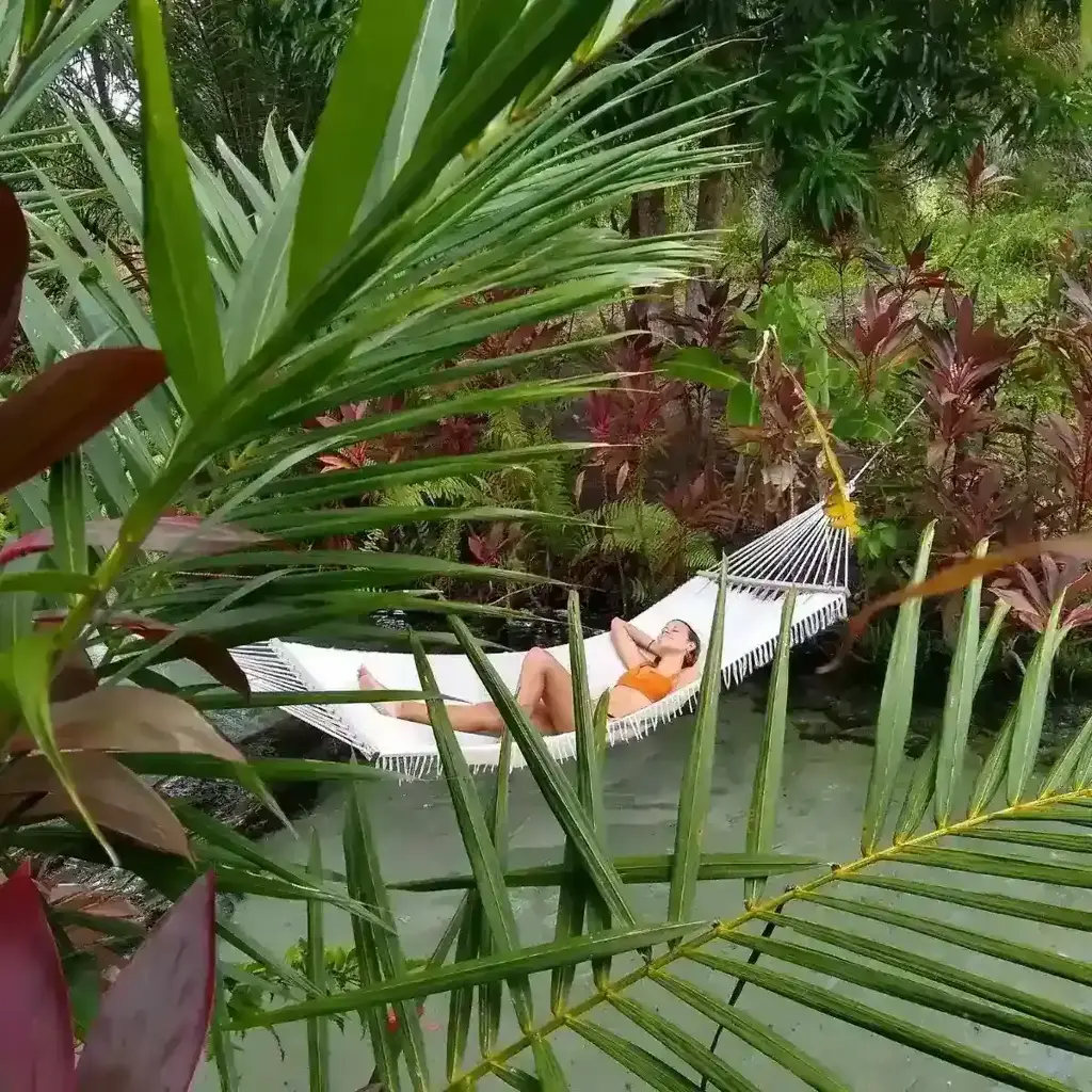 imagem capa do post Descubra a nascente do rio Catolé, um oásis no RN!