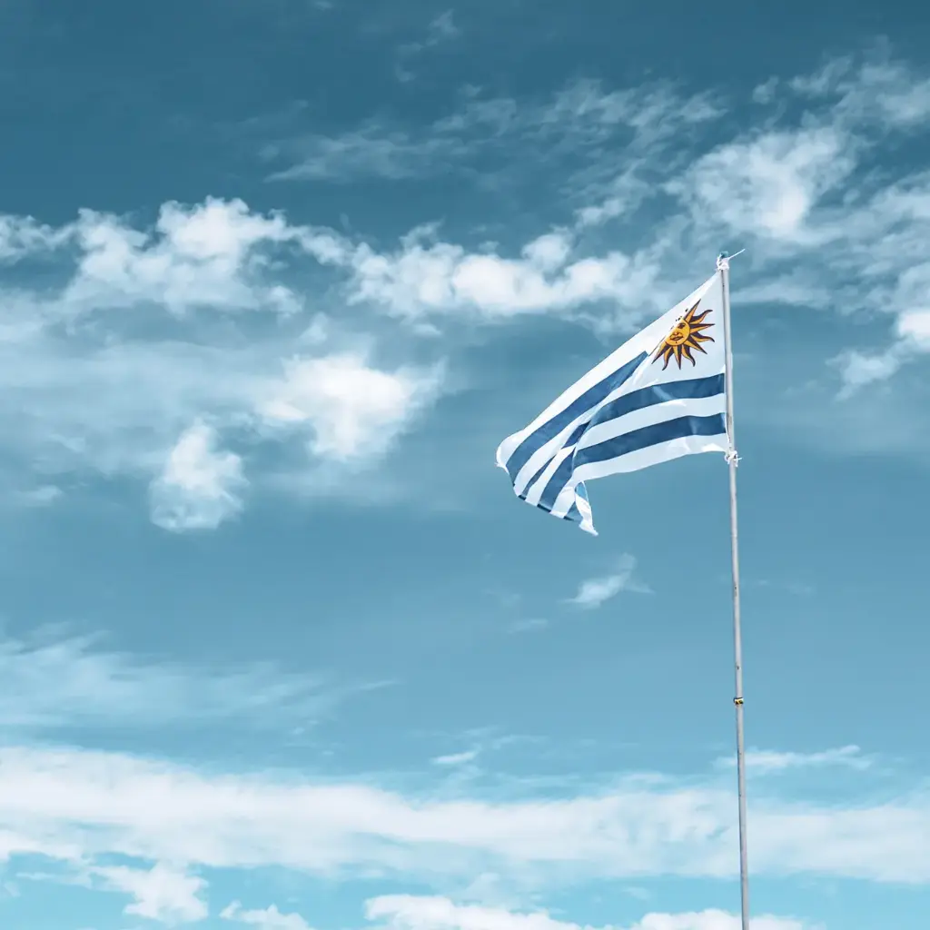 Carta Verde Uruguai: saiba como tirar, quanto custa e como fazer online!