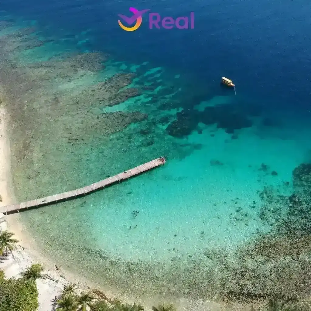 imagem capa do post Seguro Viagem Honduras: Guia Completo + Cotação e Dicas!