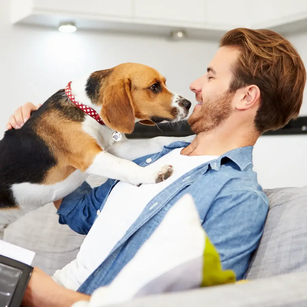 imagem capa do post Coris garante proteção para seu PET em todos o planos 