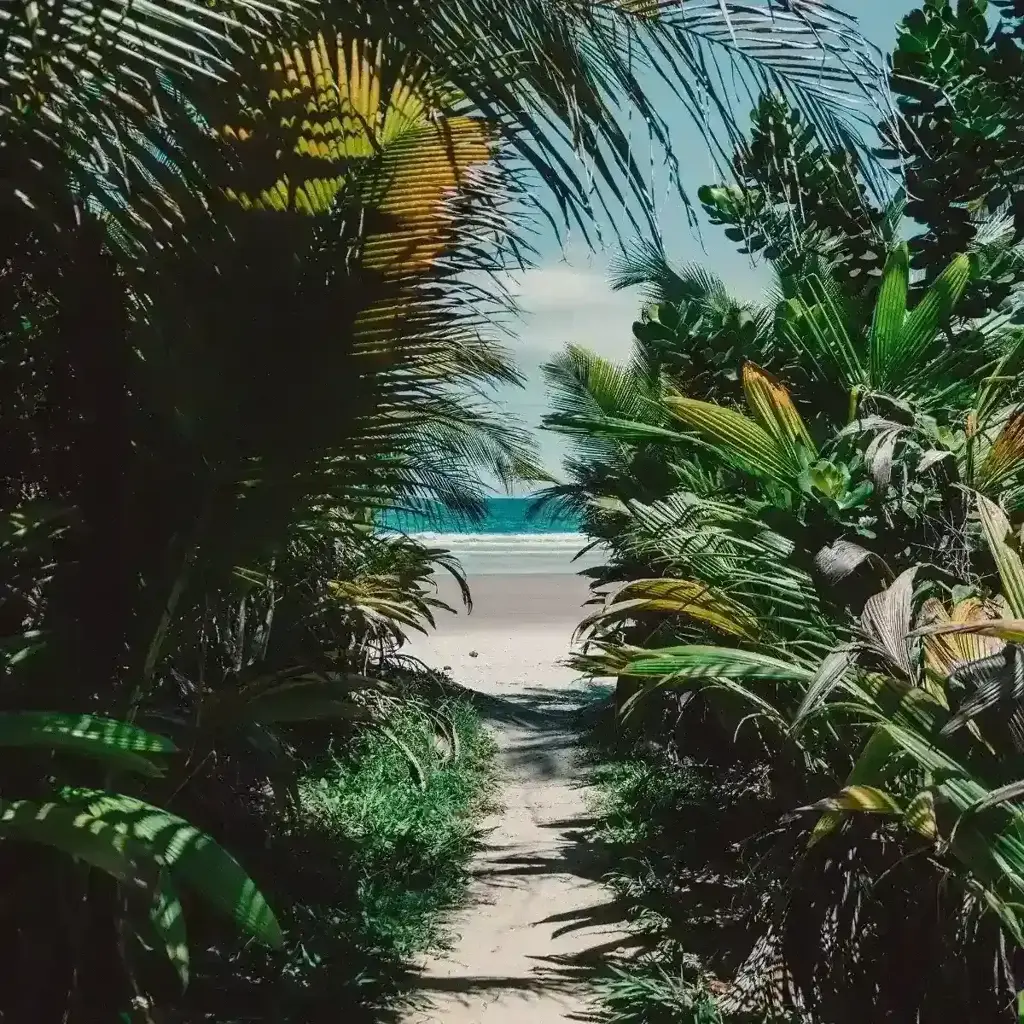 O que fazer em Itacaré: roteiro para passar 3 dias