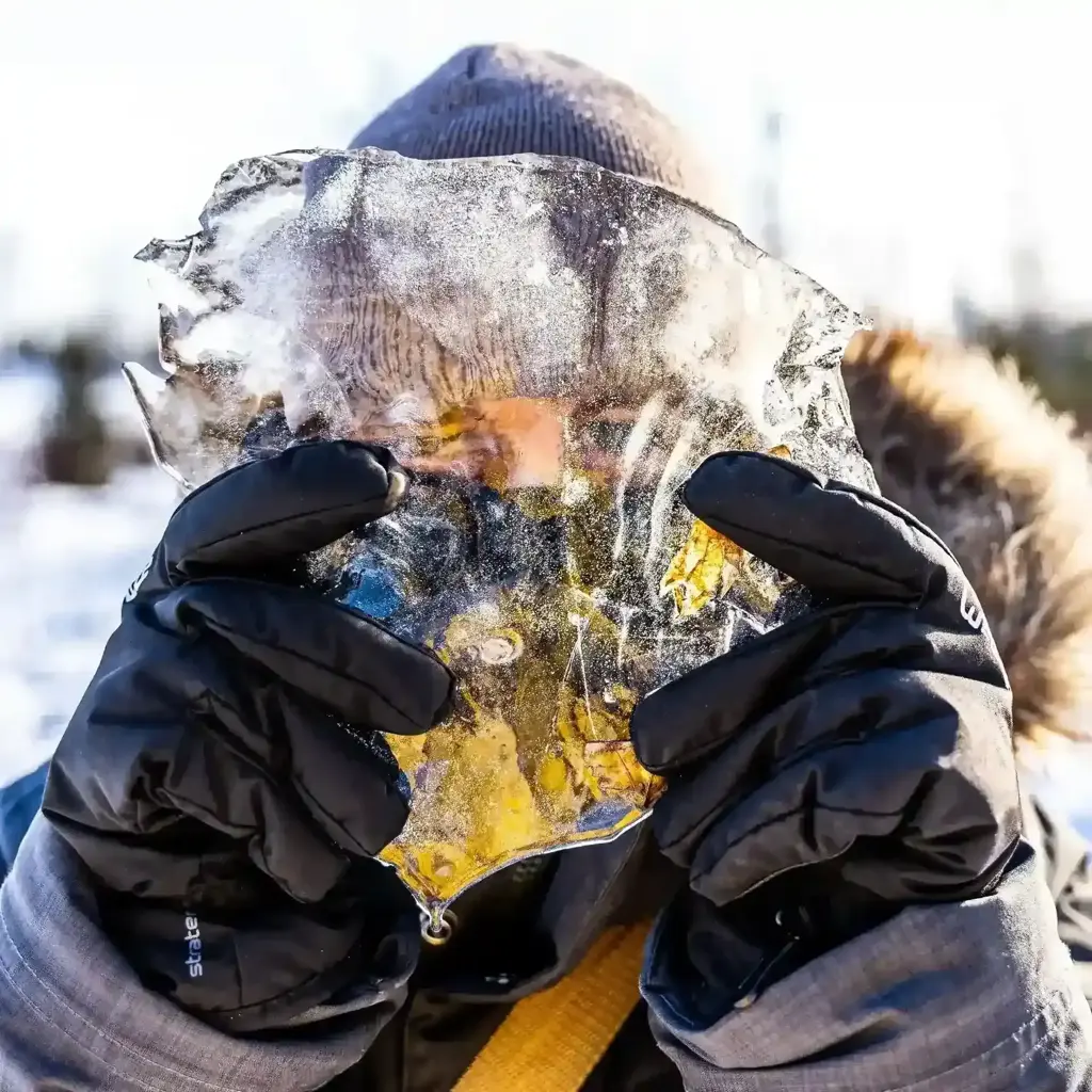 Conheça Ottawa, capital do Canadá!