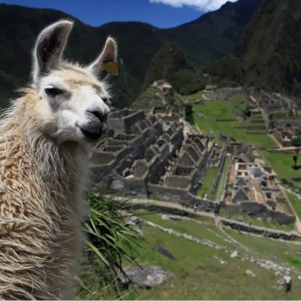 imagem capa do post Machu Picchu: História, dicas e um guia completo!