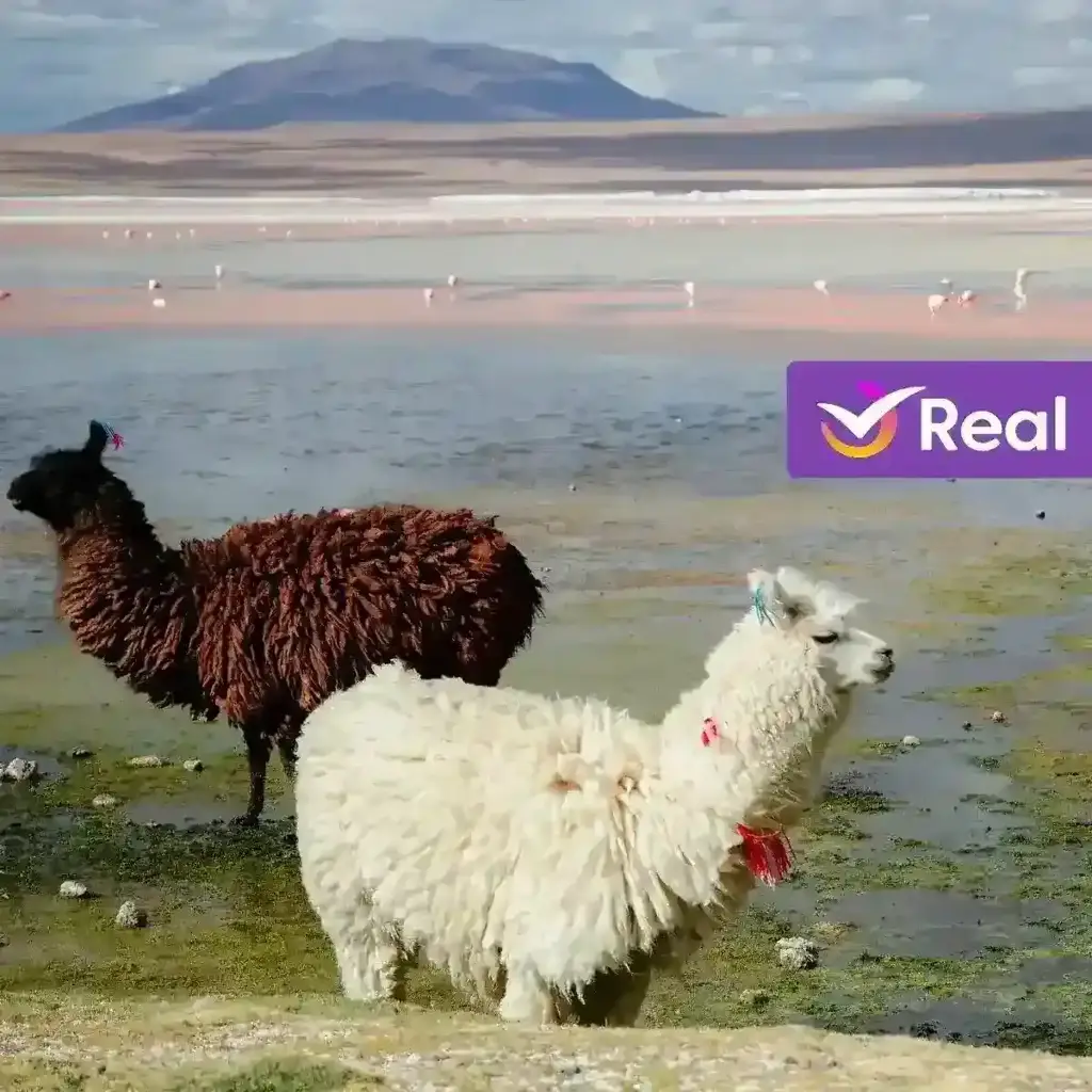 imagem capa do post O que fazer na Bolívia: conheça os pontos turísticos!