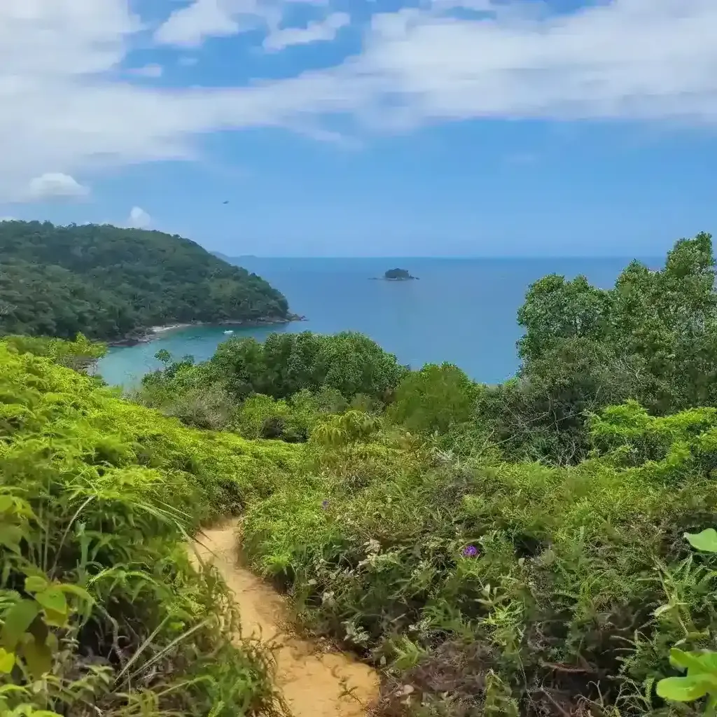 imagem capa do post Ubatuba: como chegar, o que fazer e muito mais!