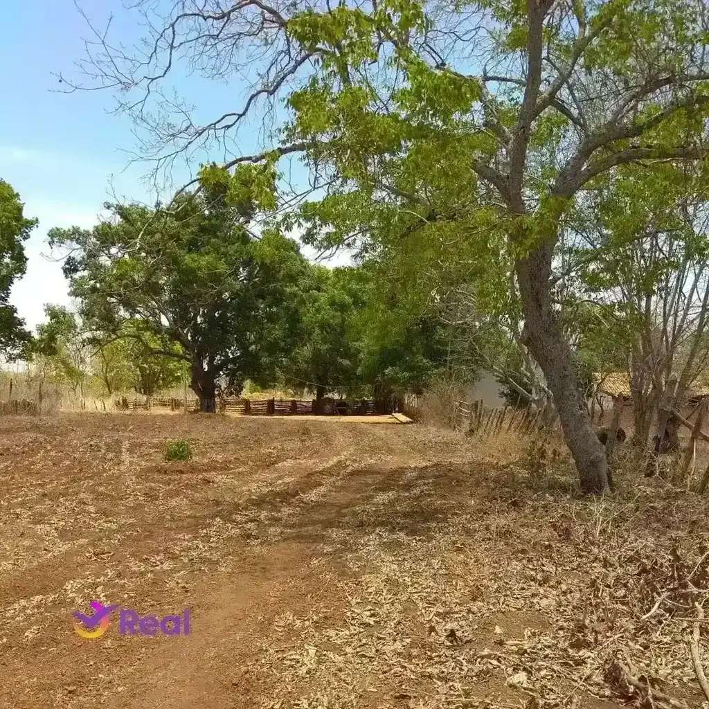 imagem capa do post Chapada do Araripe: Natureza, História e Aventura!