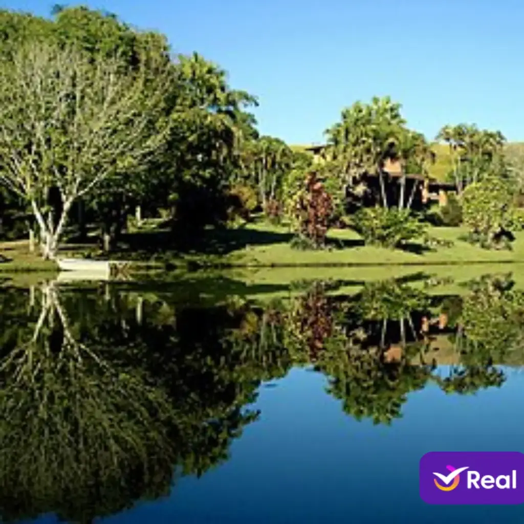 imagem capa do post O que fazer em Araponga/MG: Trilhas e Cachoeiras [2026]