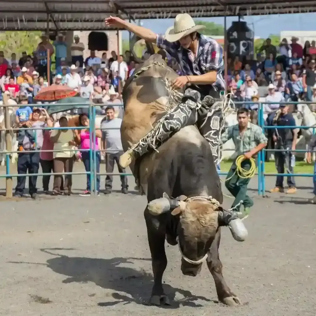 imagem capa do post Festa do Peão de Barretos 2026: Seu Guia Para a Maior Emoção Sertaneja