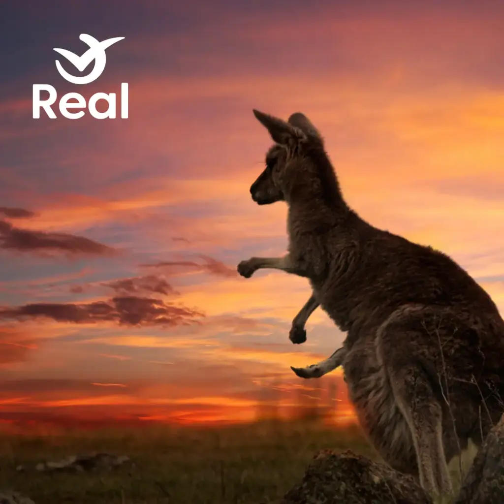 imagem capa do post Capital da Austrália: Guia Completo sobre Canberra  