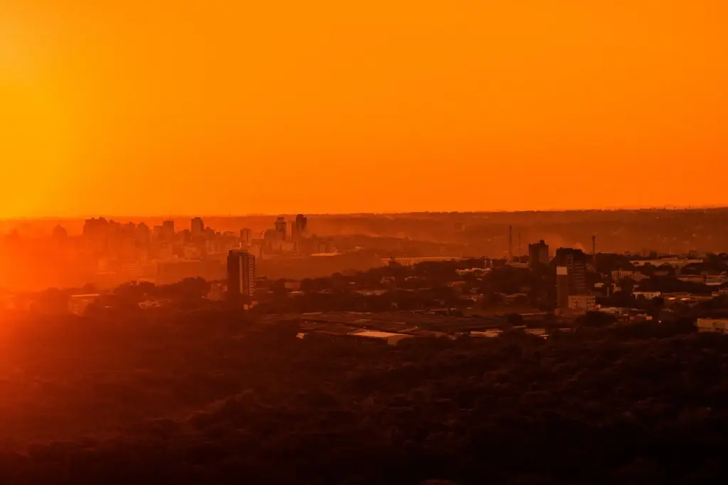 imagem capa do post Descubra aqui o que fazer em Foz do Iguaçu!