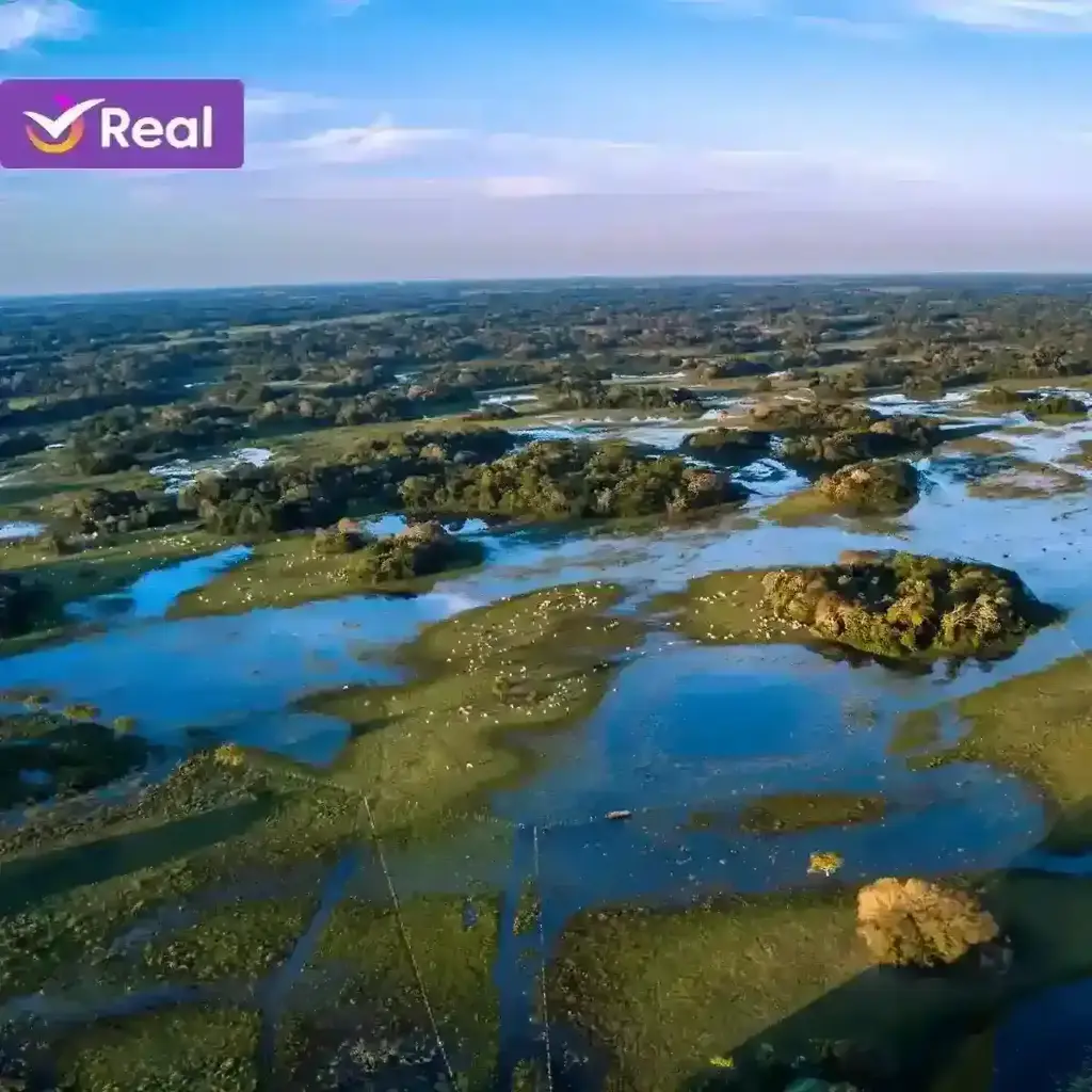 imagem capa do post O que fazer no Mato Grosso? Veja Pontos Turísticos e Dicas!