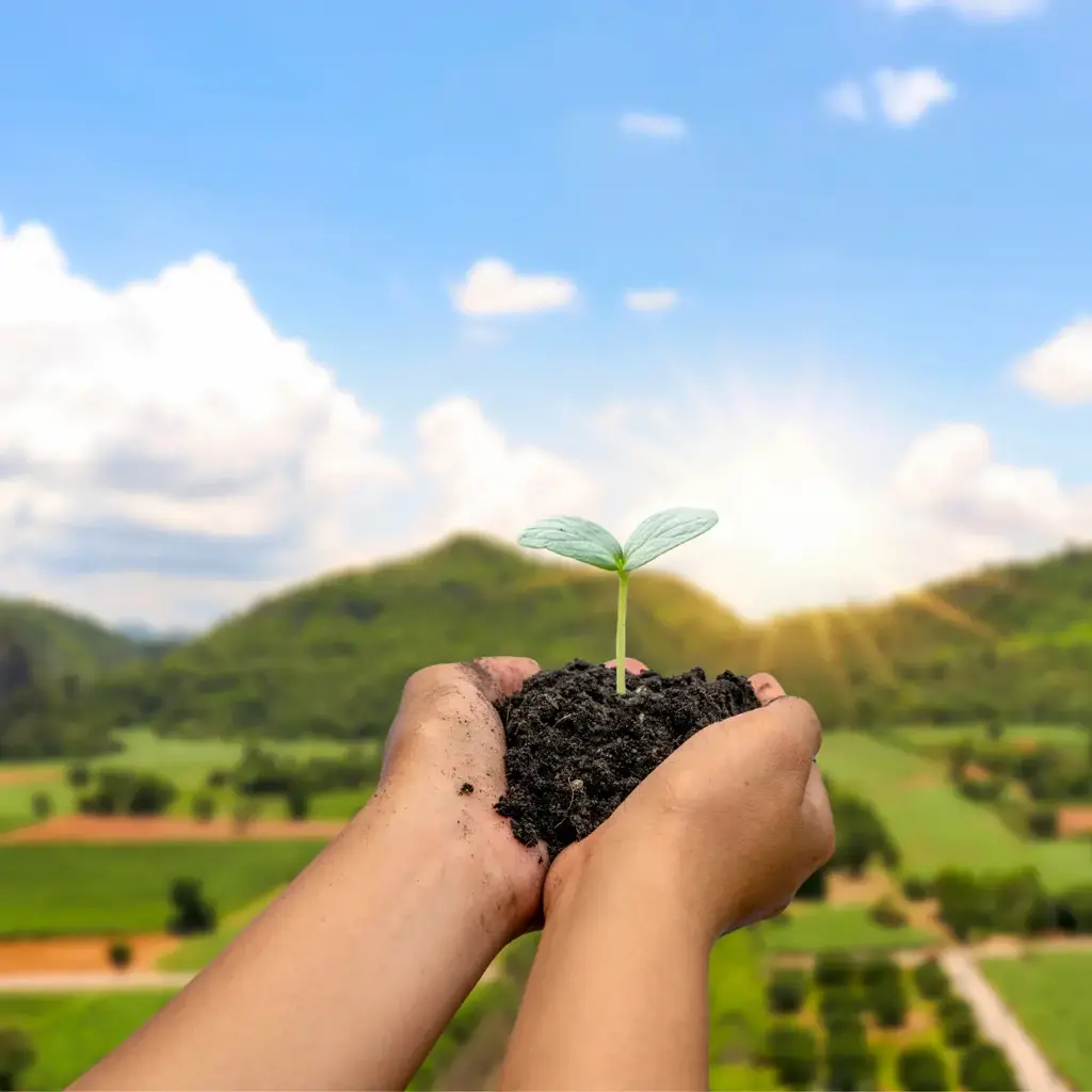 imagem capa do post Turismo Sustentável: conheça o conceito e a importância!