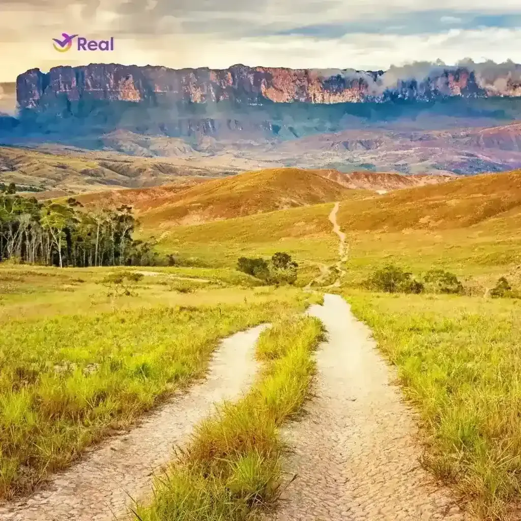 imagem capa do post O que fazer em Roraima: guia completo de atrações!