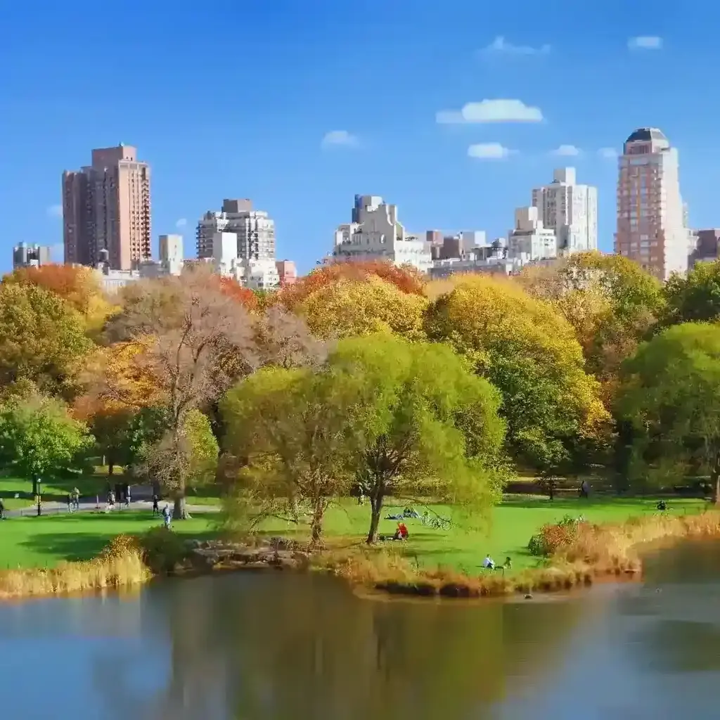 imagem capa do post Central Park: 8 atividades para fazer no famoso parque