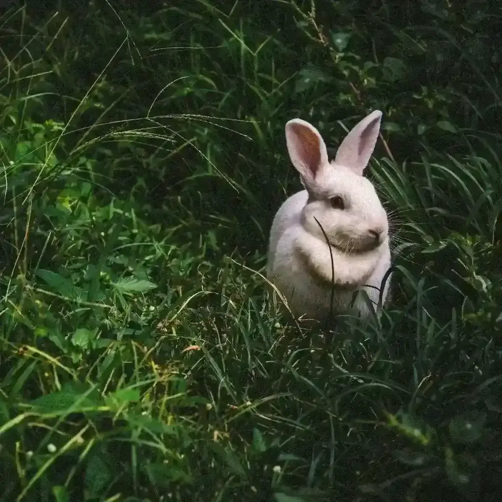 imagem capa do post Viagem na Páscoa: os melhores destinos para celebrar!