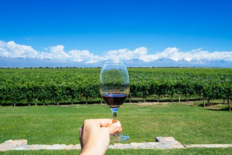 Pessoa segurando taça de vinho em Mendonza, na Argentina