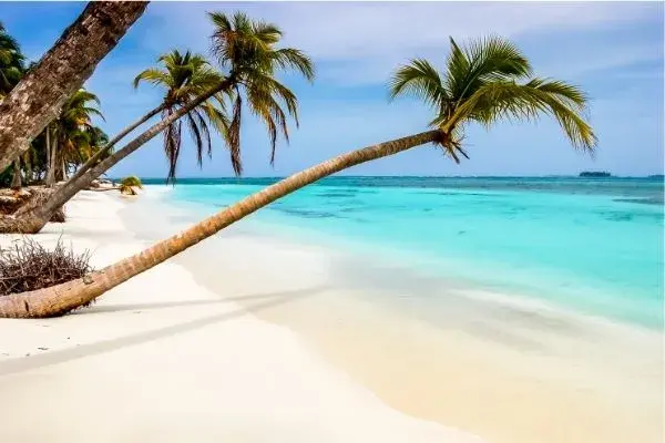 Areia, mar e coqueiros em praia do Caribe