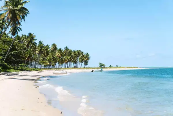 Praia dos Carneiros, Pernambuco