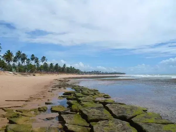 Praia do Forte – Bahia