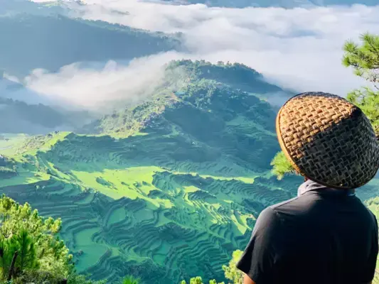 Terraços de arroz em Maligcong, Bontoc, Mountain Province, Filipinas