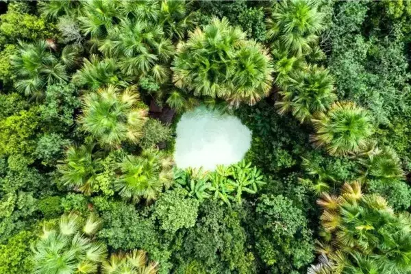Vista aérea de fervedouro no Jalapão, Tocantins