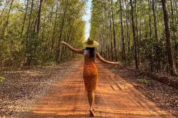 Nai em estrada de chão do Jalapão