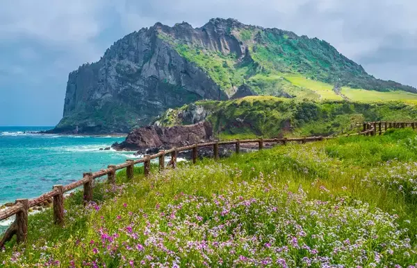 Jeju Island visto de lado, mostrando uma parte da grama e mar. Ao fundo, uma montanha.
