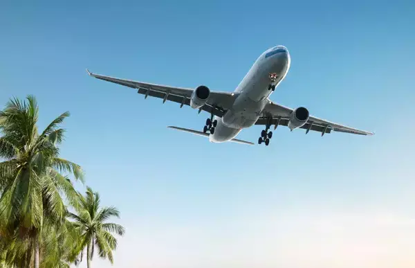 Um avião sobrevoando o céu sem nuvens. No canto esquerdo, um pedaço de coqueiro.