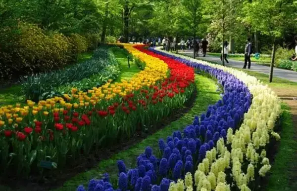 Um campo enorme lotado de flores coloridas organizadas em setores, dos mais diversos tipos.