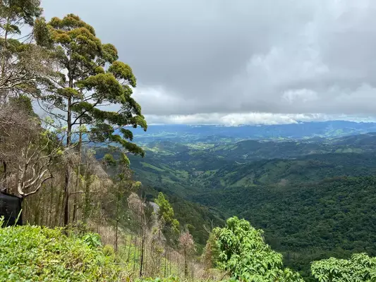 Vales e árvores em Campos do Jordão, São Paulo