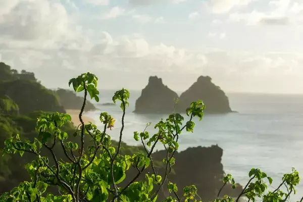 Vista do Morro dos Dois irmãos, em Fernando de Noronha