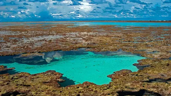 Com o objetivo de preservar a flora e a fauna locais, são proibidos turistas no Atol das Rocas - Rio Grande do Norte.