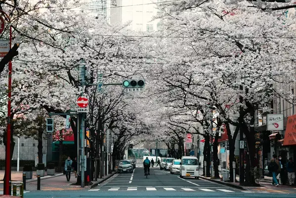 O Japão reabriu as portas ao turismo nesta terça-feira (11) após dois anos e meio de duras restrições devido à Covid-19.