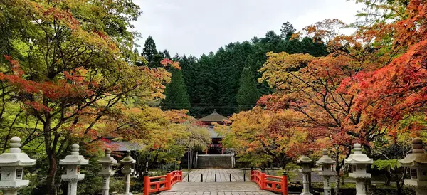 Momiji refere-se às folhas avermelhadas do outono, sendo o símbolo definitivo do outono japonês.