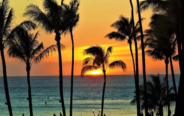 Visão paradisíaca do Havaí.