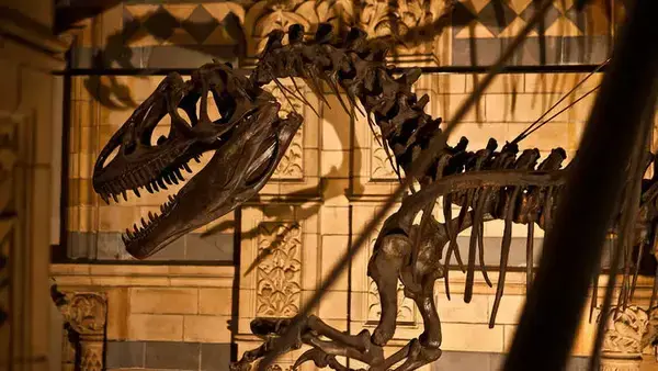 Uma ótima opção para passeios em família