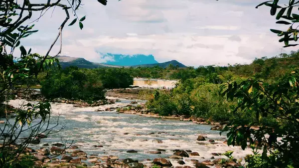 Cachoeira na Grande Savana, na Venezuela