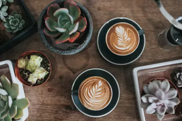 Um cappuccino clássico, muito famoso no Brasil e consiste em um terço de café expresso, um terço de leite vaporizado e um terço de espuma de leite vaporizado