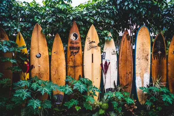 No sul da Bahia, entre o mar e as serras cobertas pela Mata Atlântica, a pequena cidade de Itacaré, paraíso do surf abriga um tesouro de belezas naturais