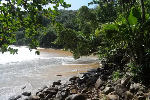 acessível por uma trilha, praia tem palmeiras e um rio natural