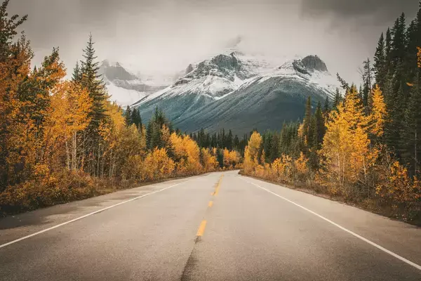 Estrada indo em direção a montanha em Calgary, Canadá