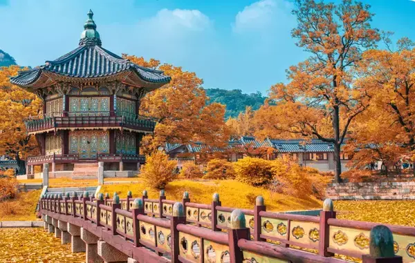Visão florida de um campo em Seul.