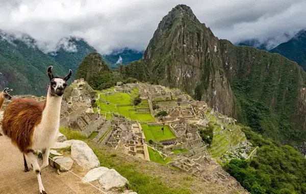 Uma visão aérea de Machu Picchu, com uma lhama no canto.
