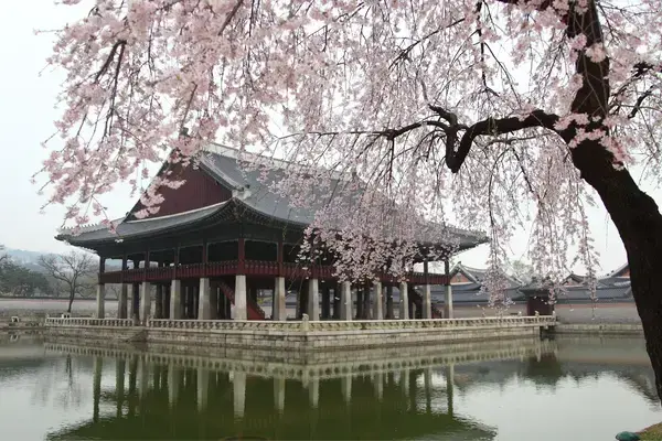 Palácio Gyeongbok, arquitetura tradicional asiática