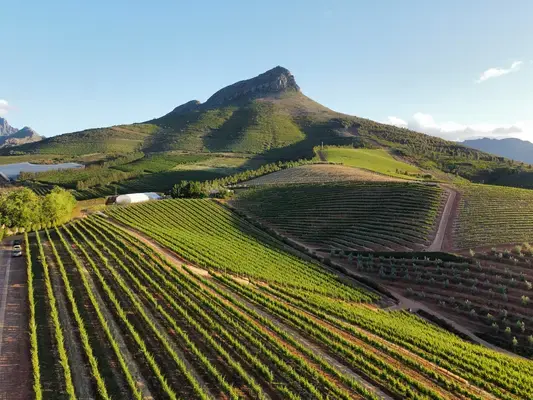 Vinícola em Stellenbosch, na África do Sul