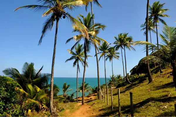 Vista para o mar da cidade de Itacaré, no estado da Bahia
