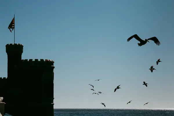 Castelo Wulff, Viña del Mar, Chile