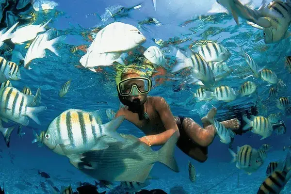 Mulher nadando em piscina natural no mar de Alagoas