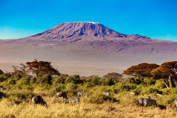 Paisagem com savana e zebras no primeiro plano e o Monte Kilimanjaro ao fundo.