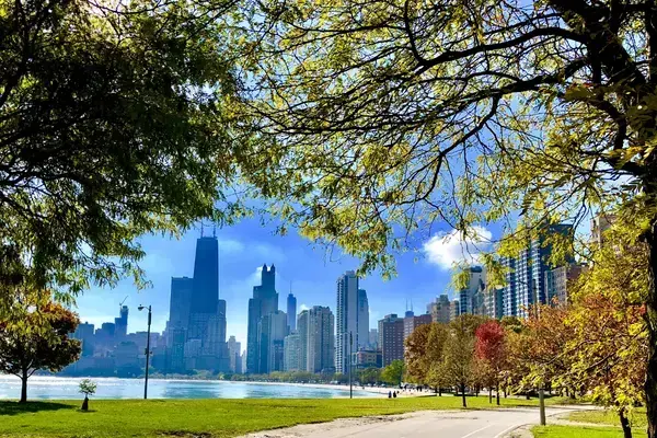 Parque em Chicago com prédios ao fundo